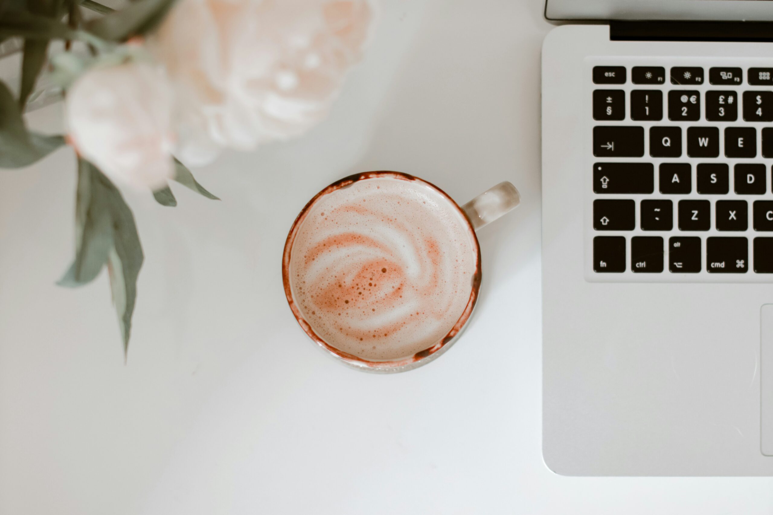 organic marketing case study